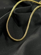 PULSEIRA DOURADA